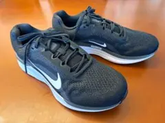 【ほぼ新品】NIKE ナイキ AIR WINFLO 11 29cm ブラックのサムネイル