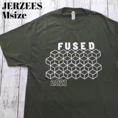 アメリカ古着　ジャージーズ　Tシャツ デザイン　アメカジ　良色　良プリント