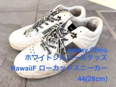 JIMMY CHOO HawaiiF スニーカー44(27.5-28.5cm)のサムネイル