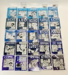 ワンピース ベースショップくじ アクリルブロックチャーム 涼 25点セット