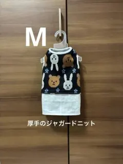 犬服 ワンピース M ハンドメイド 【1点限り】