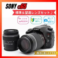 2026年最新】α65 レンズの人気アイテム - メルカリ