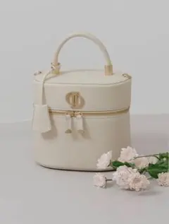 darich Dモチーフバニティバッグ