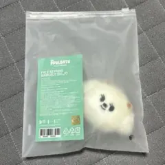 txt アイドル