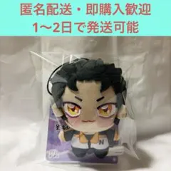 2026年最新】ちょぴぬいぷちリゼロの人気アイテム - メルカリ