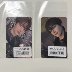 &TEAM ウィジュ ニコラス 月狼 Go in Blind トレカ 2枚セット