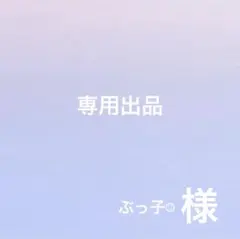 ぶっ子☺︎ 様 専用出品