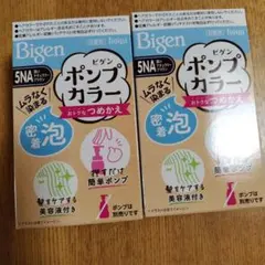 Bigen 白髪染め　つめかえ　 5NA 2本セット　ビゲン　カラーのサムネイル