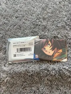 【匿名配送】鬼滅の刃　無限城編　劇場物販　全方位コレクション缶バッジ　冨岡義勇