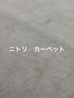 ほこりがとれやすい折り畳みカーペット　ニトリのサムネイル