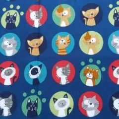 猫さん サークル A