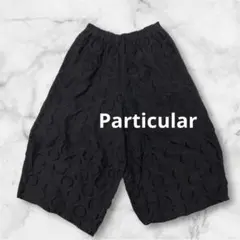 【Particular】パルティクラール★サークルフリンジワイドパンツ★日本製