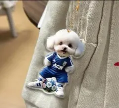 ビジョンフリーゼアクリルキーホルダー 一点