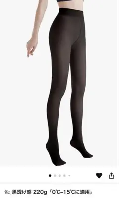 ORTCI フェイクタイツ　裏起毛　透け感　防寒タイツ　黒透け感　220g