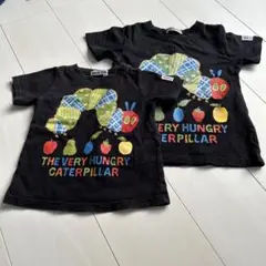 はらぺこあおむし Tシャツ 2枚セット 120、95