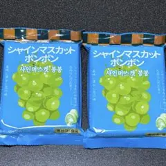 元祖村松製菓☘️山梨県笛吹産☘️シャインマスカットボンボン☘️未