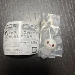 TWICE LOVELYS めじるしアクセサリー