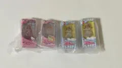 サンリオキャラクターズ　だいすきリカちゃん　ミニチュアパッケージコレクション