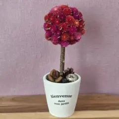 Item thumbnail for item d4a79ecc-112f-4582-9add-7e0d19406009