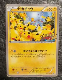 ピカチュウ PROMO XYシリーズプロモーションカード PROMO 069/XY-P