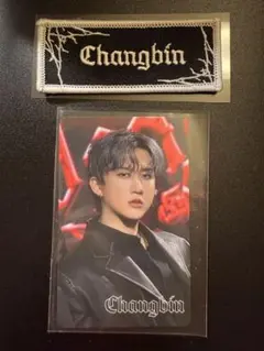 straykids スキズ チャンビン アプグレ