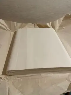 Item thumbnail for item 2309ff53-0184-4139-b655-aca43b13e003