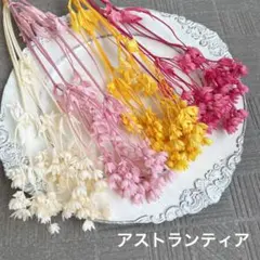 済　気まぐれやさんち7＆hiro様　ご専用