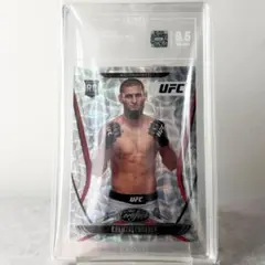 Joshua Van 直筆サイン入り UFC キャンバスアート - メルカリ
