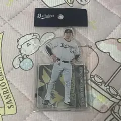 紅林弘太郎　アクリルスタンド　コロチャレ 2026年最新】紅林弘太郎 アクスタの人気アイテム - メルカリ