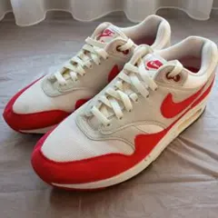 Nike Air Max 1 ナイキ エアマックス1 28cm