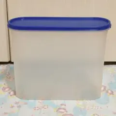 Item thumbnail for item 590d103a-6570-401c-9424-72c22865f952