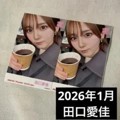 AKB48 劇場 田口愛佳 生写真 ガラポン ピンポン 衣装展