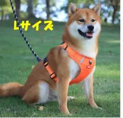 Item thumbnail for item b05bd2cf-2c20-42fe-a010-a4c401f9bda2