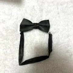 蝶ネクタイ グリーン 柄あり