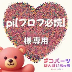 pi[プロフ必読] 様　専用ページ