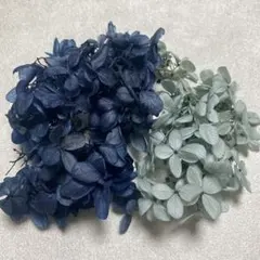 No.60 プリザーブドフラワー 花材 大地農園 アジサイ