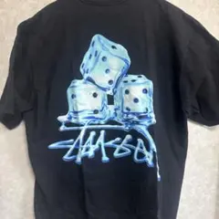 STUSSY MELTED TEE 23ss Black