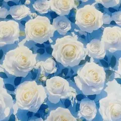 ❣️【本日限定】可愛いバラ立体感　綿100%シーチング生地　110x100cm