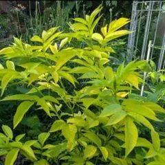 モモ様 リクエスト 2点 まとめ商品