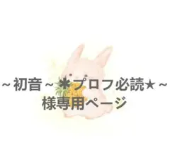 ～初音～✱プロフ必読★～様専用ページ