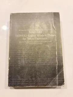 鉄緑会 TEPPEKI English Words & Phrases