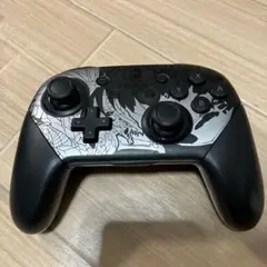 Nintendo Switch Pro Controller プロコン モンハン