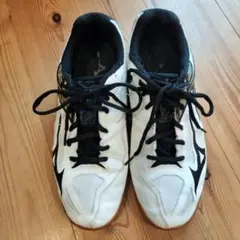 Mizuno バレーボールシューズ 25cm