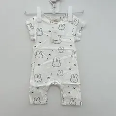 Item thumbnail for item 30182153-7091-4db3-85a6-ef1ca1b6d011