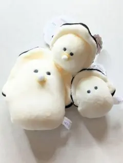 중얼거린 눈동자의 일식점 나마가키 베비 나마가키 무규 누이 타이토 한정