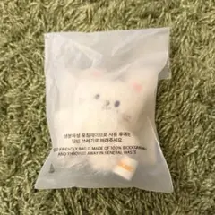 SKZOO KEYRING MICRO VER. jiniretのサムネイル