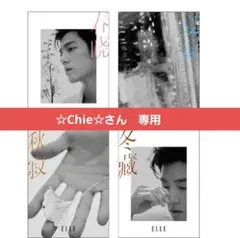 ☆Chie☆さん　専用　ショオジャン雑誌