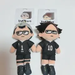 ハイキュー ジロリ ぬいぐるみ 北信介 角名倫太郎