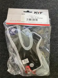 Item thumbnail for item 4872873a-cfce-4ebd-8e24-59c5d26a4f20