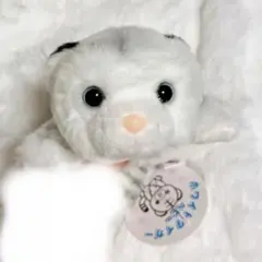 CUTE ホワイトタイガー ベビー ぬいぐるみ SS トラ 動物園 赤ちゃん